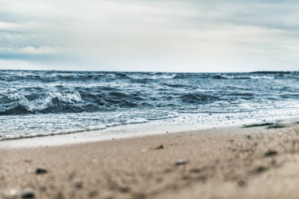 Девушка на скале у моря живопись