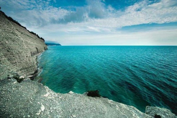 Сосновка Геленджик море