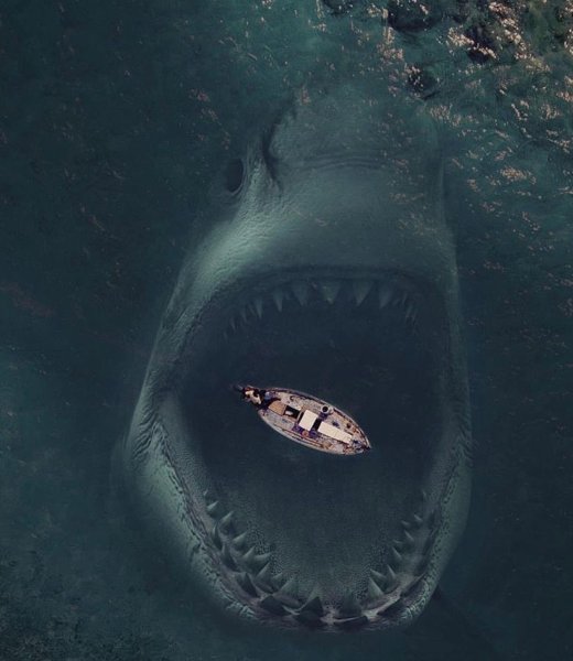 Кархародон МЕГАЛОДОН