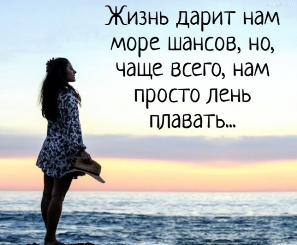 Жизнь дарит нам море шансов