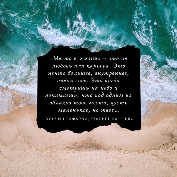 Эльчин Сафарли цитаты