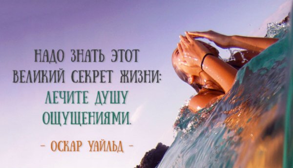 Удовольствие от жизни цитаты