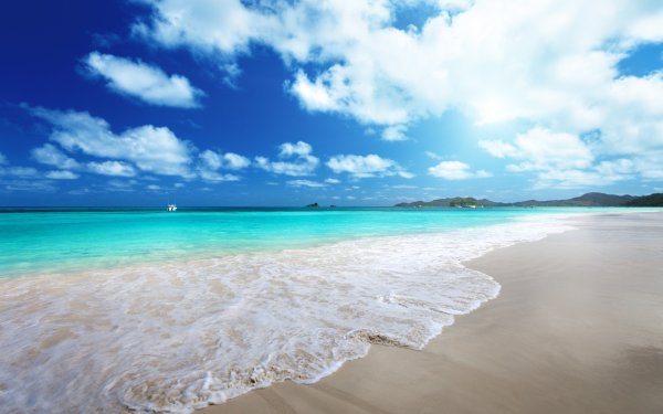 Море пальмы