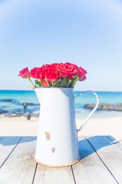 Цветы и море