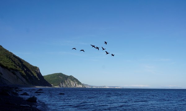 Охотское море бухта Гертнера