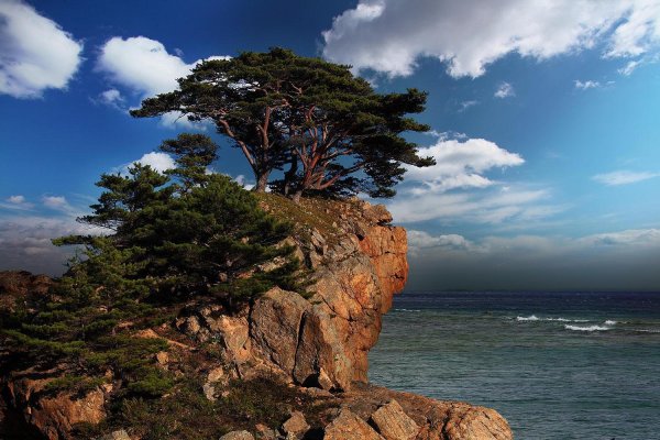 Дальний Восток