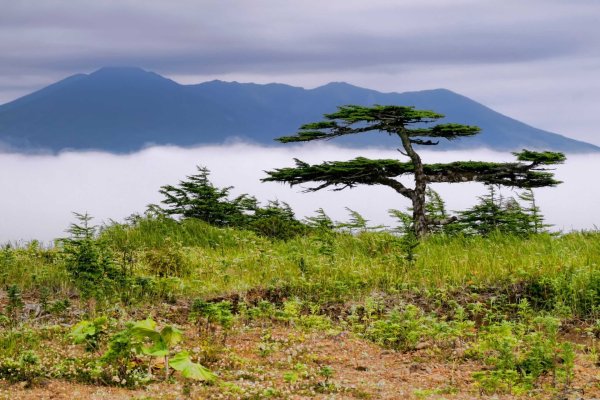 Остров Итуруп природа