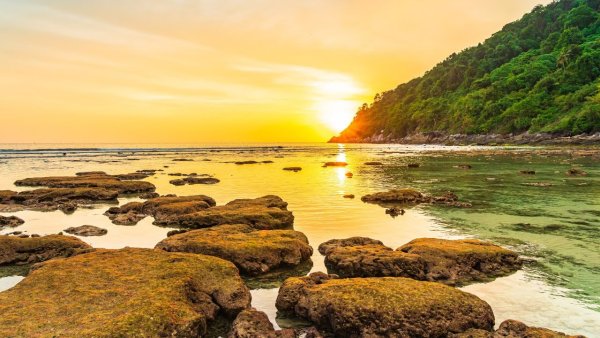 Побережье Южно китайского моря