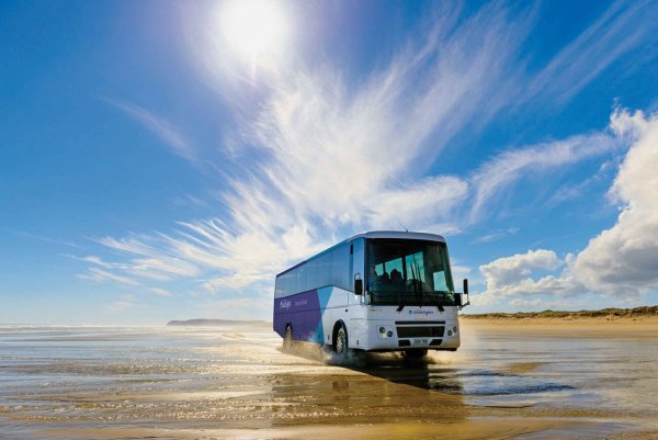 Mercedes-Benz Tourismo 2020