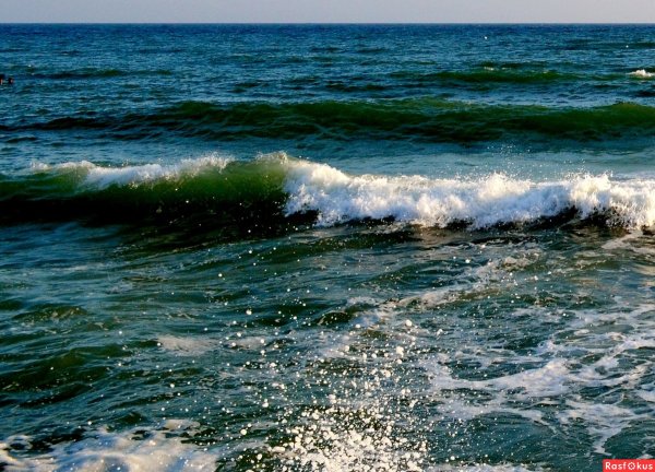 Фэнтези девушки русалки