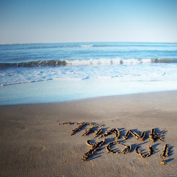 Спасибо море