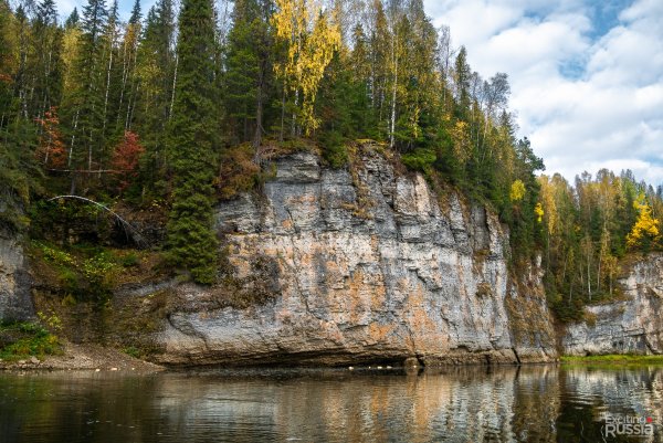 Пермский период палеозойской эры животные