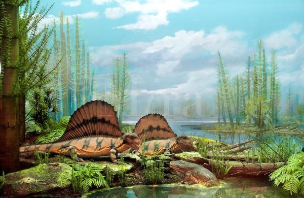 Палеозойская Эра Девон