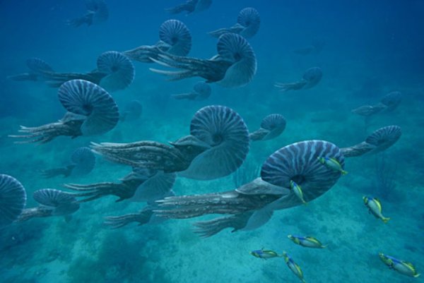 Древнее Пермское море