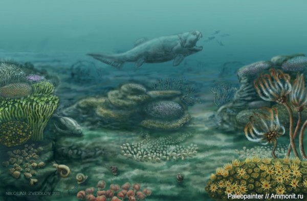 Палеозой Эра Кембрий