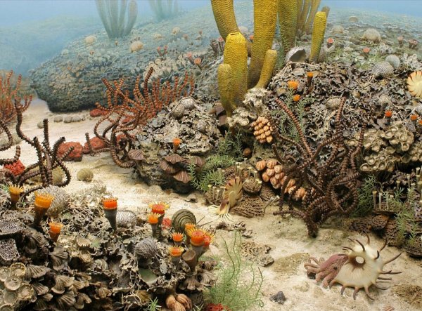 Пермский период море