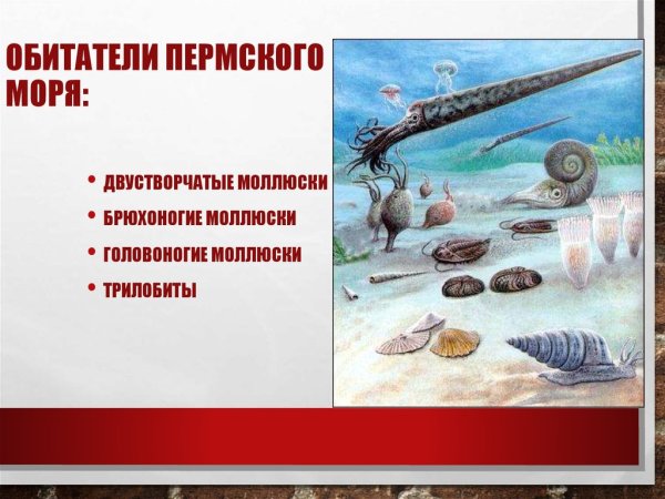 Пермское море Пермского периода