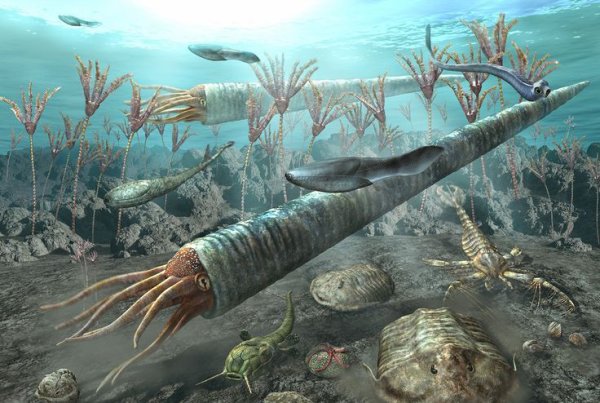 Океан девонского периода