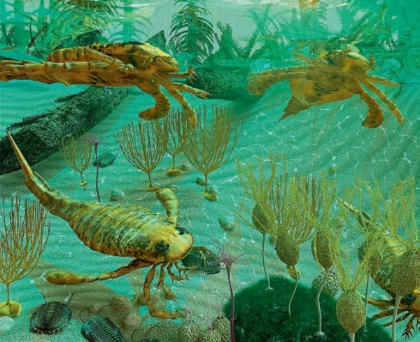 Ордовикский и силурийский периоды