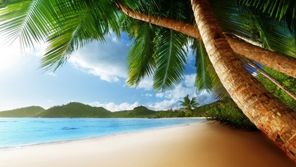 Лазурный берег пальмы солнце