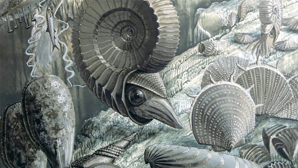 Палеозойская Эра Ордовик