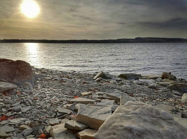 Силурийский период трилобиты