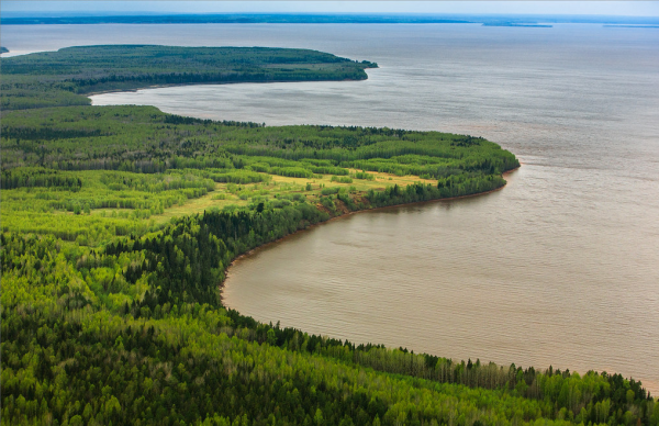Пермь период палеозойской эры