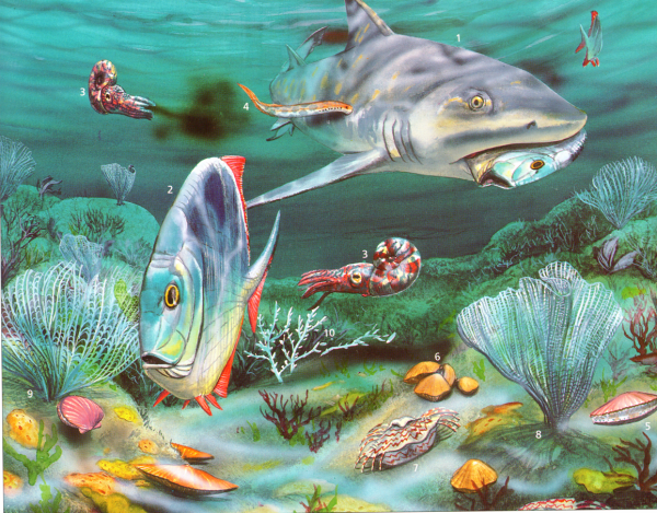 Кембрийский период трилобиты