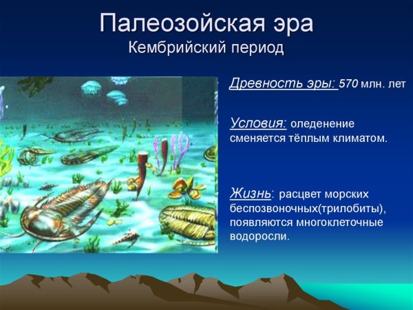 Камское море Пермский край