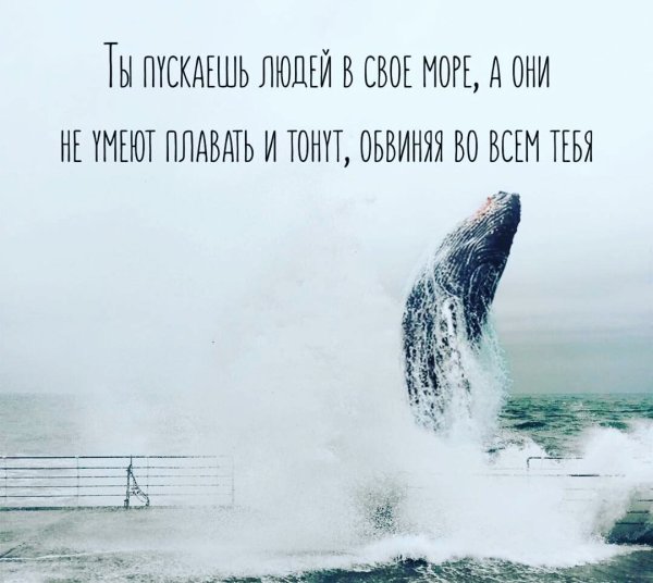 Цитаты про море