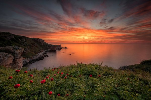 Рассвет море горы