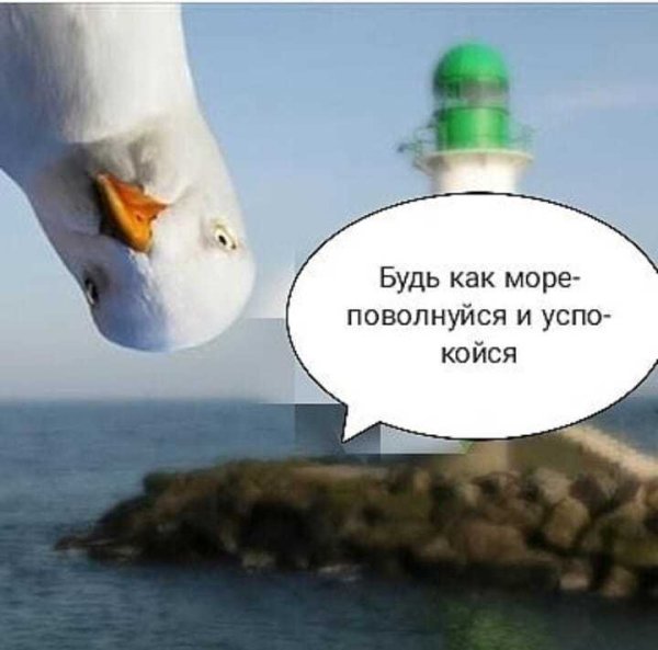 Высказывания про море