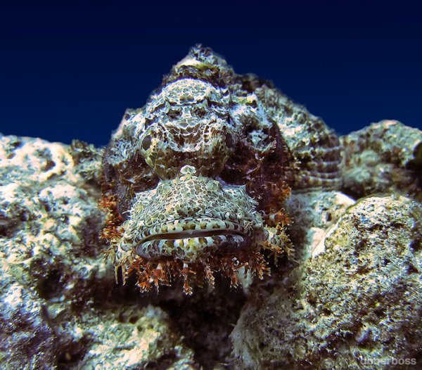 Самое опасное море в мире