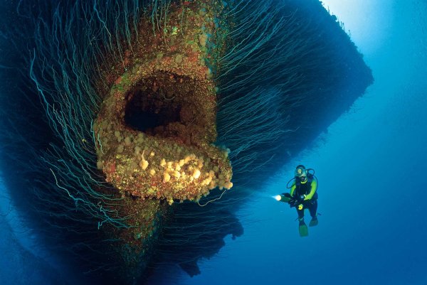 Представление в море