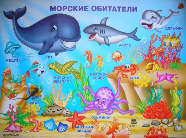 Морские обитатели названия