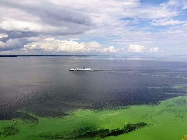 Природа Поволжья река Волга