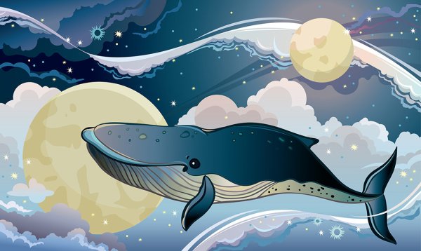 Киты плывут по звездному небу