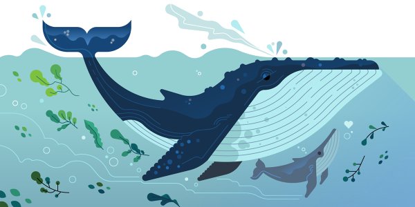 Кит Векторная иллюстрация