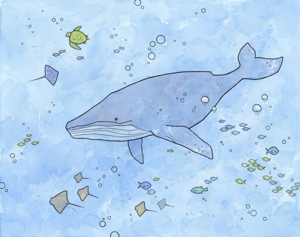 Рисование море кит