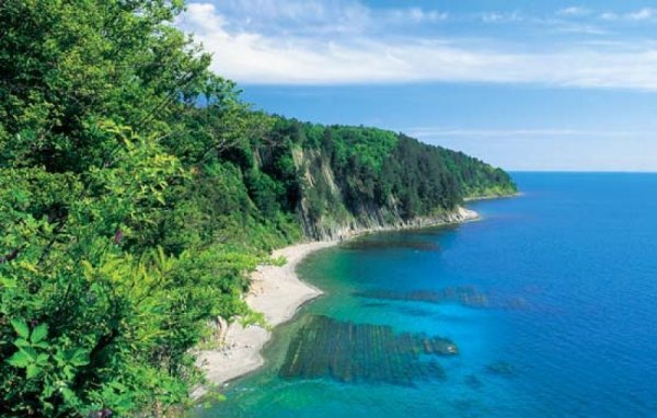 Море витезево черное море Краснодарский край