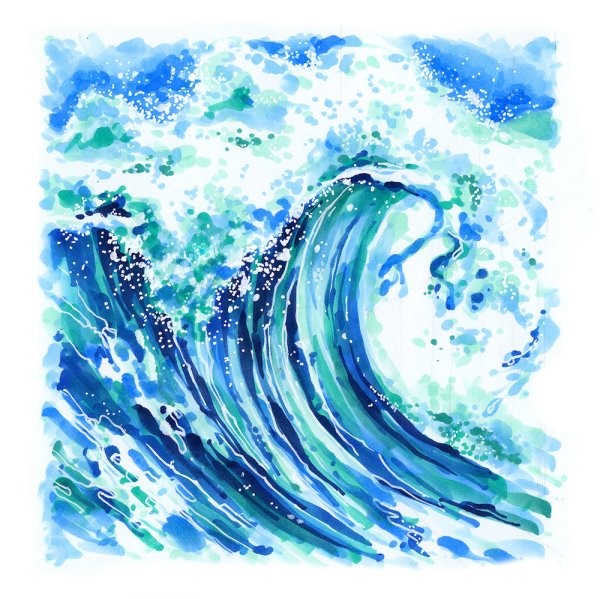 Скетчинг морские раковины