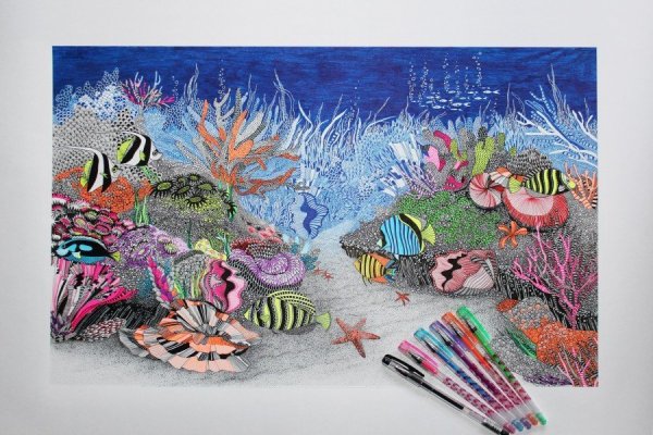 Скетчинг коктейль