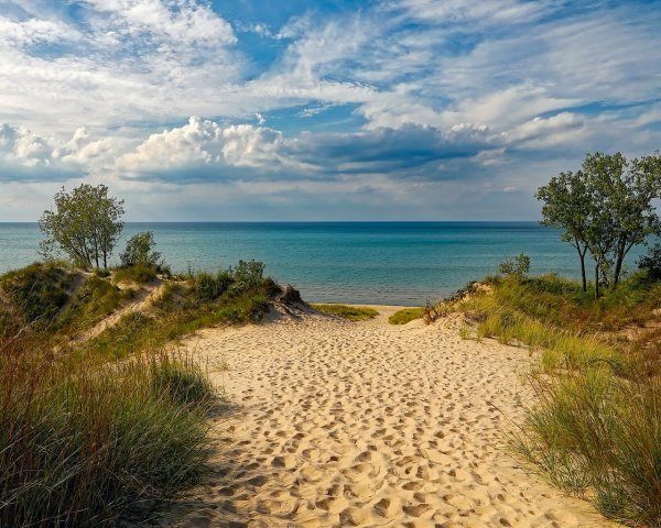 Пейзаж на берегу