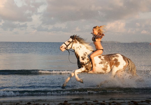 Конь на берегу