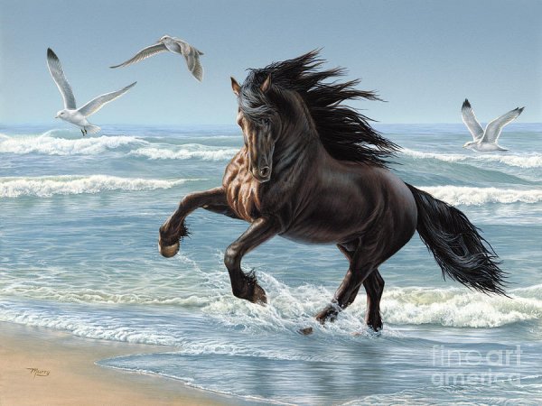 Ахалтекинская лошадь