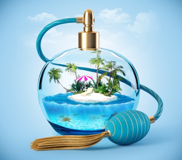 Аромат свежести картинки