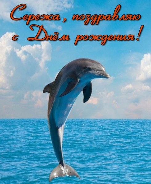 С днём рождения алкксандр