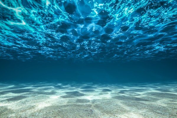 Толща морской воды
