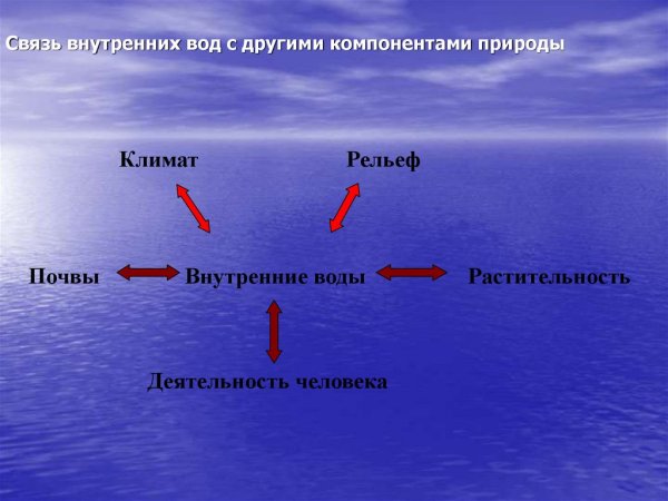 Связь внутренних вод с другими компонентами природы