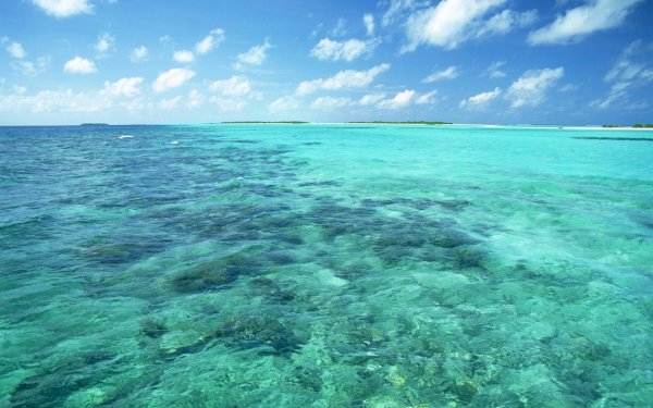 Небо море облака